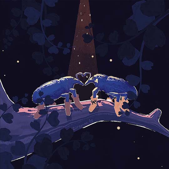 thumbnail-weevil-love